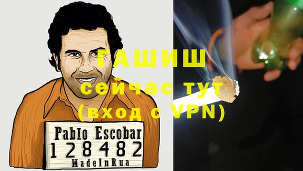 стаф Елизово