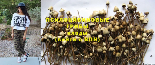 ECSTASY Заволжье