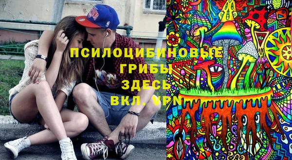 mix Ельня