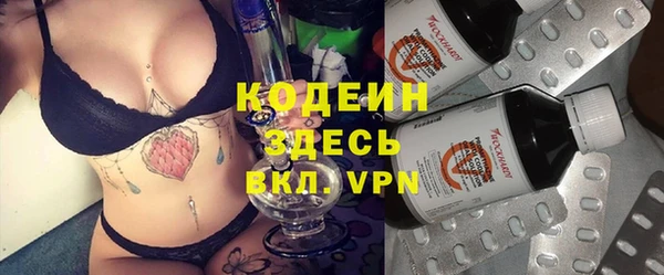 стаф Елизово