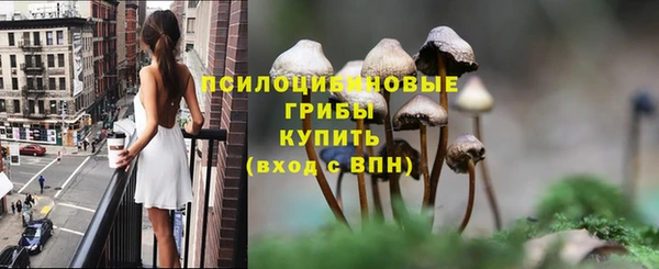 ALPHA PVP Заводоуковск