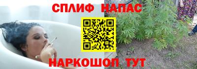 твердый Будённовск