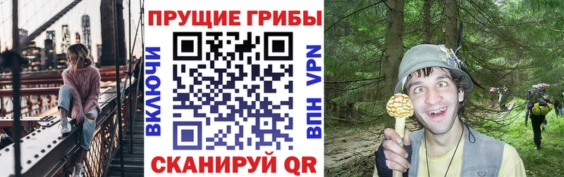 как найти   Вятские Поляны  Галлюциногенные грибы GOLDEN TEACHER 