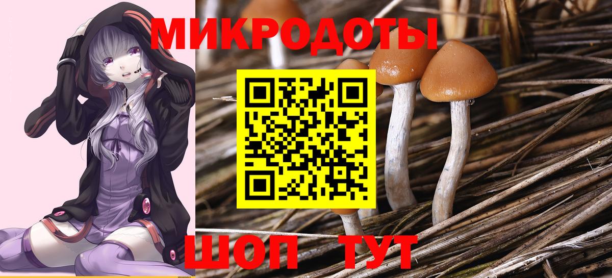 Галлюциногенные грибы Magic Shrooms Вятские Поляны