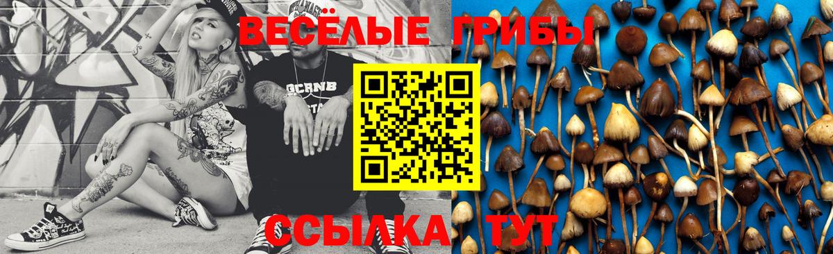 Псилоцибиновые грибы мухоморы  Вятские Поляны 