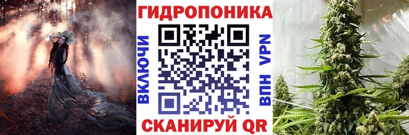 Канабис Amnesia  гидра ссылки  Вятские Поляны 